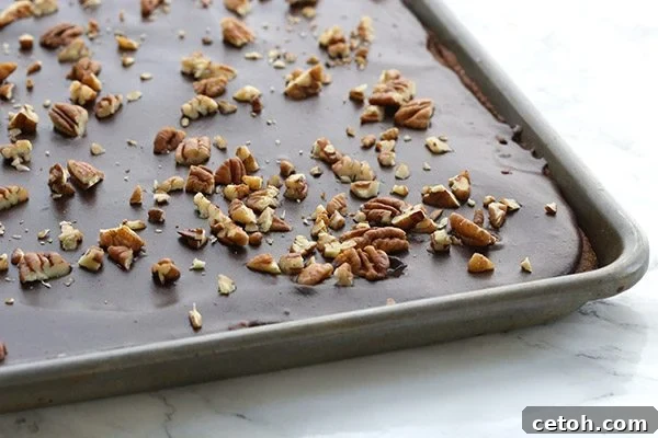 Low Carb Grain-Free Texas Sheet Cake Recipe