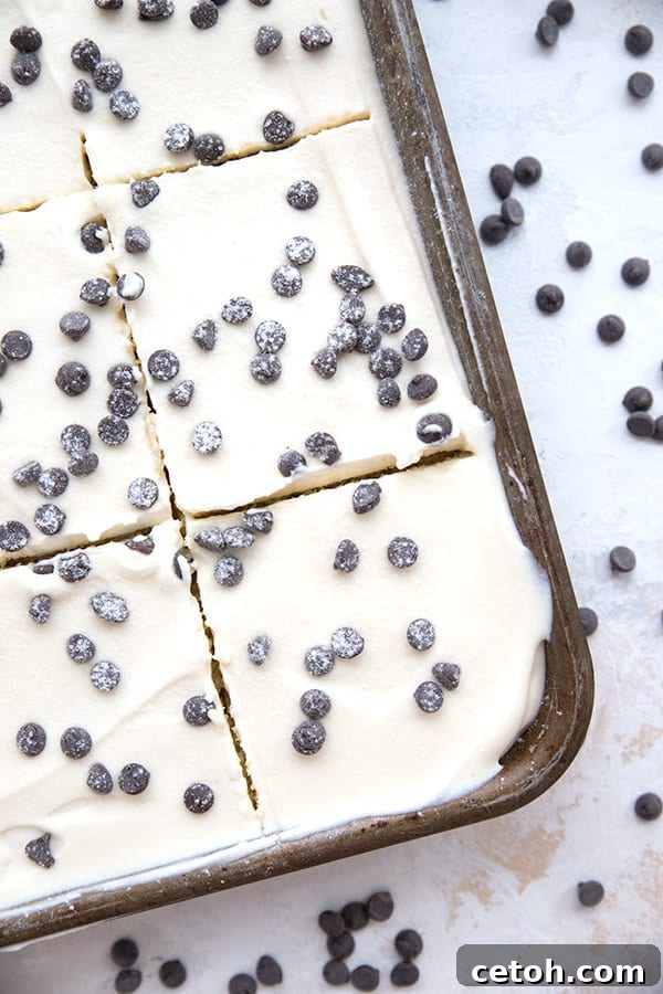 Keto Cannoli Dream Cake 3 Top down photo of cannoli cake with mini chocolate chips sprinkled around