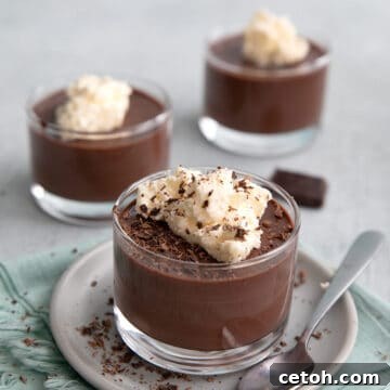 Sugar Free Chocolate Pudding in small elegant glass cups, garnished with fresh berries and chocolate shavings, resting on a textured concrete surface.