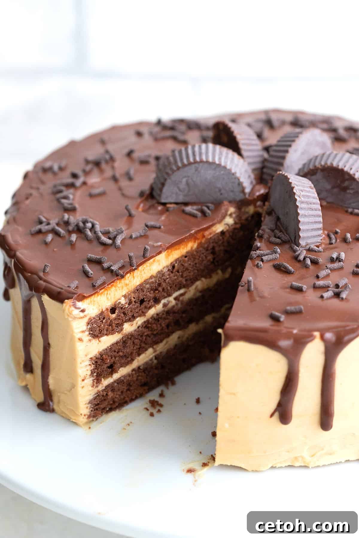 A majestic chocolate peanut butter layer cake, displayed on a pristine white cake stand with a slice carefully removed, revealing its decadent layers.