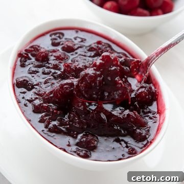 Sugar Free Cranberry Sauce in a white oval bowl.