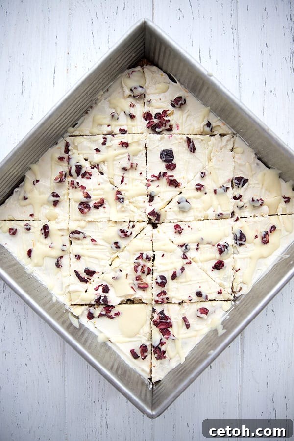 Top-down photo of freshly baked cranberry bliss bars, cooling perfectly in a baking pan.