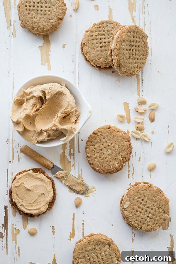 Top-down view of perfect Keto Peanut Butter Sandwich Cookies arranged on a white table, accompanied by a bowl of creamy sugar-free peanut butter frosting.