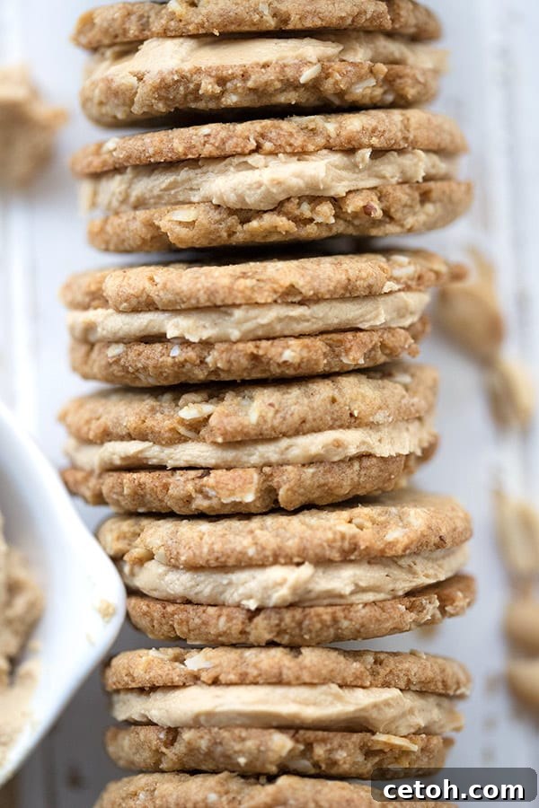 Close-up detailed shot of Keto Peanut Butter Oatmeal Sandwich Cookies, showcasing their appealing texture and the creamy filling. The signature hatch marks are visible, mimicking traditional Do-si-dos.
