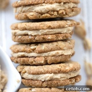 Keto Peanut Butter Oatmeal Cookies
