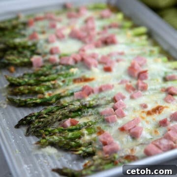 Savory Ham and Asparagus Gratin 2 Baked Asparagus with Ham and Cheese on a metal baking sheet.