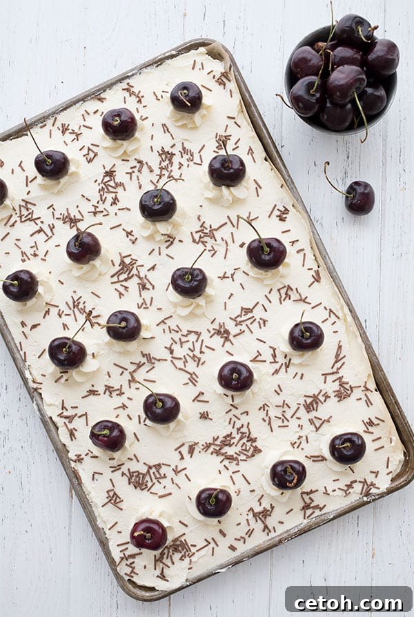 A stunning top-down photograph of a meticulously prepared Keto Black Forest sheet cake, adorned with fresh, glistening cherries and elegant sugar-free chocolate sprinkles, resting on a rustic white wooden table.