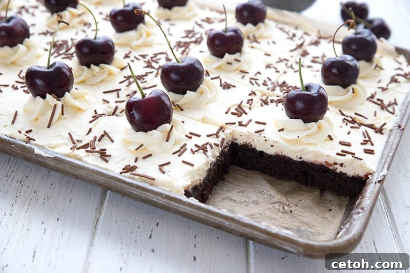 An inviting pan of freshly baked Keto Black Forest sheet cake with one perfect slice carefully removed, revealing the decadent layers of chocolate cake, cherry filling, and creamy whipped frosting. The cake is beautifully garnished with sugar-free chocolate sprinkles and a few fresh cherries.