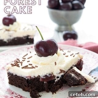 A beautifully presented slice of Keto Black Forest Cake on a red patterned plate, with a bowl of fresh cherries in the background, inviting you to taste this low-carb delight.