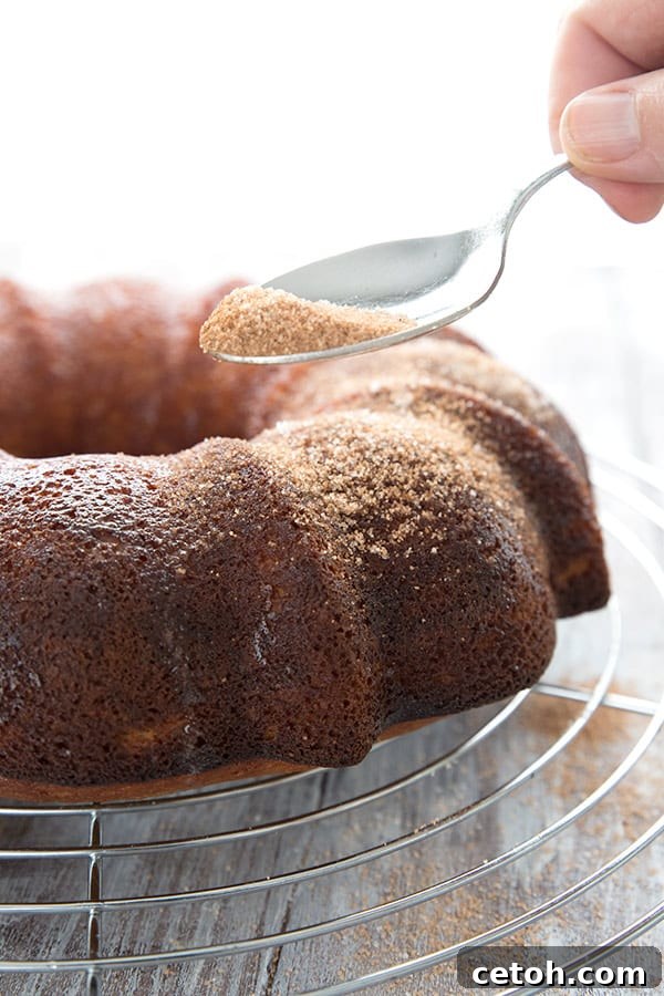 A beautiful Keto Apple Cake being dusted with a cinnamon-sweetener blend, ready to be served as a delightful low-carb fall dessert.
