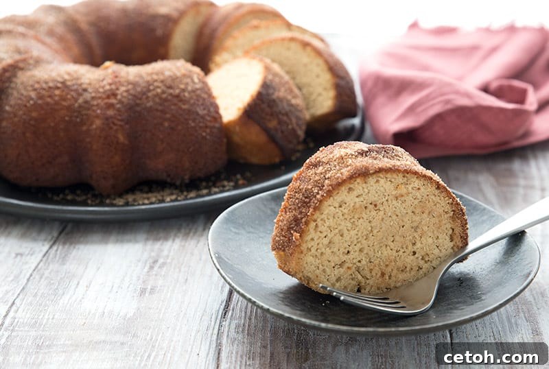 A perfectly baked slice of Keto Apple Cake on a elegant black plate, with the rest of the bundt cake visible in the background.