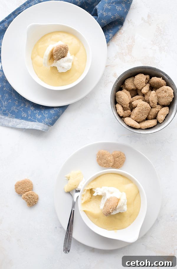 A top-down perspective photo of two small dessert cups filled with luscious keto banana pudding, artfully garnished with a few keto mini cookies, ready for enjoyment.