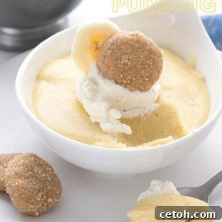 Close up shot of keto banana pudding with a spoonful taken out of it, highlighting its rich, creamy texture and topping.