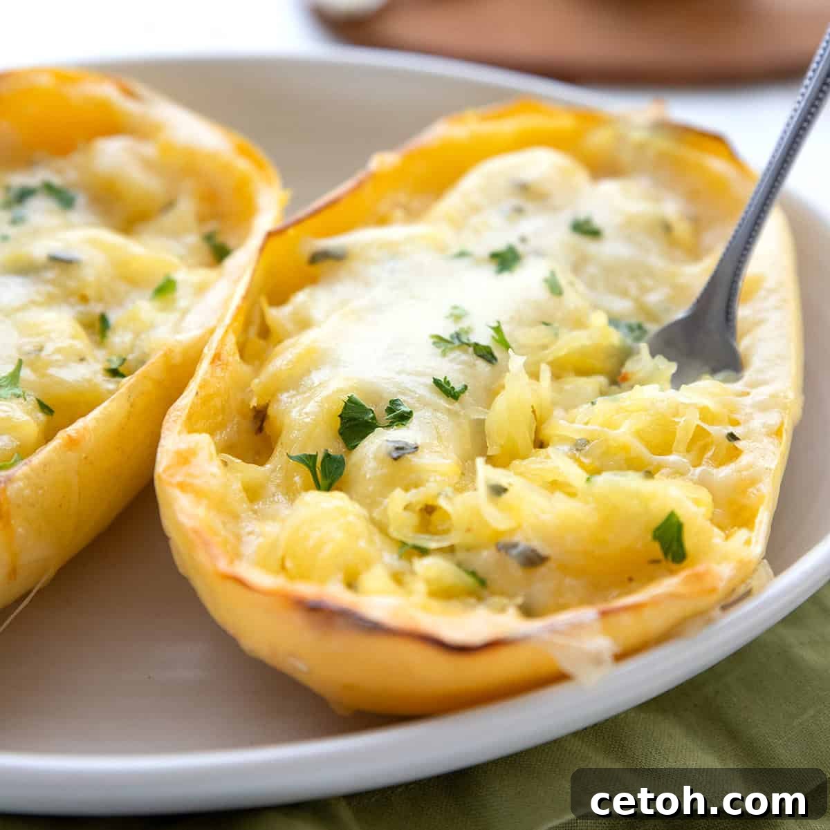 Two halves of twice-baked spaghetti squash, filled with a creamy, cheesy mixture and topped with golden-brown cheese, on a white plate.