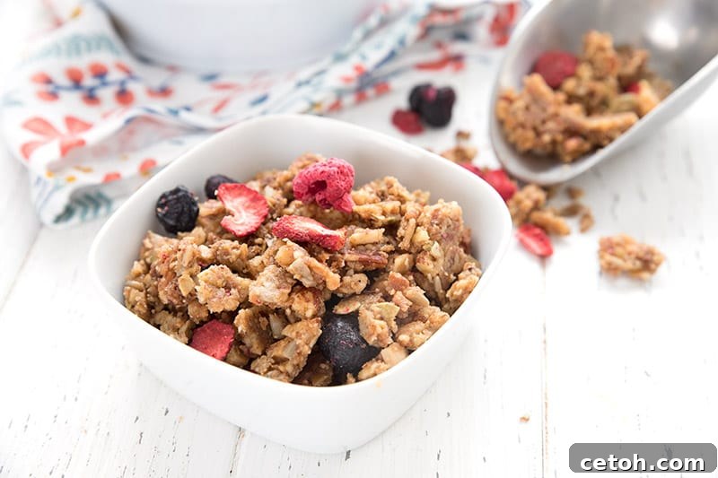 A close up shot of a bowl of keto granola, with a metal scoop in the background.