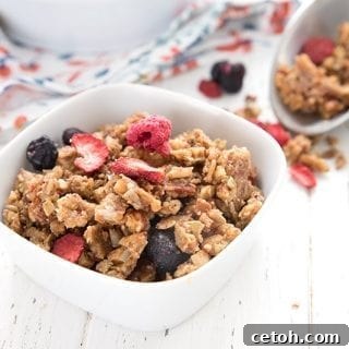 A close up shot of a bowl of keto granola, with a metal scoop in the background.