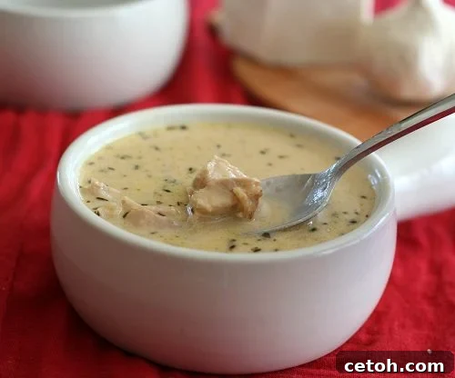 Close-up of gluten-free roasted garlic soup with chicken, showcasing its creamy texture