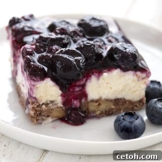 A tempting slice of sugar-free blueberry jamboree on a white plate, ready to be enjoyed.