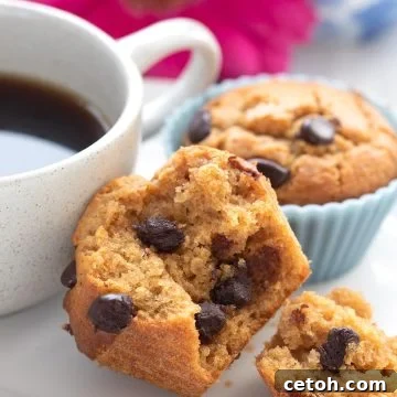 Close up shot of a keto peanut butter muffin broken open to show the inside with chocolate chips.