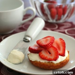 Homemade Mascarpone Cheese