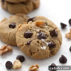 Close up shot of two keto chocolate chip cookies with chocolate chips and chopped nuts strewn around.