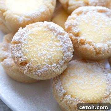 Close up shot of keto lemon bar cookies on a white plate.