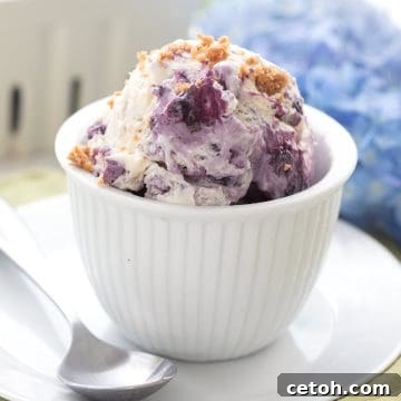 Creamy Keto Blueberry Pie Swirl 2 Keto Blueberry Ice Cream in a white dish over a green napkin, with blue hydrangeas in the background.