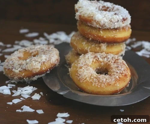 a stack of gluten-free fried donuts made with coconut flour sitting on a plate