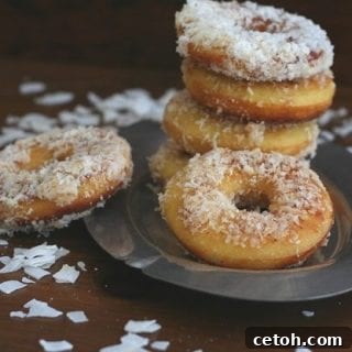 Fried Coconut Flour Donuts