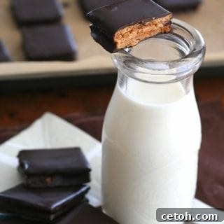 Low Carb Peanut Butter Graham Crackers covered in Chocolate