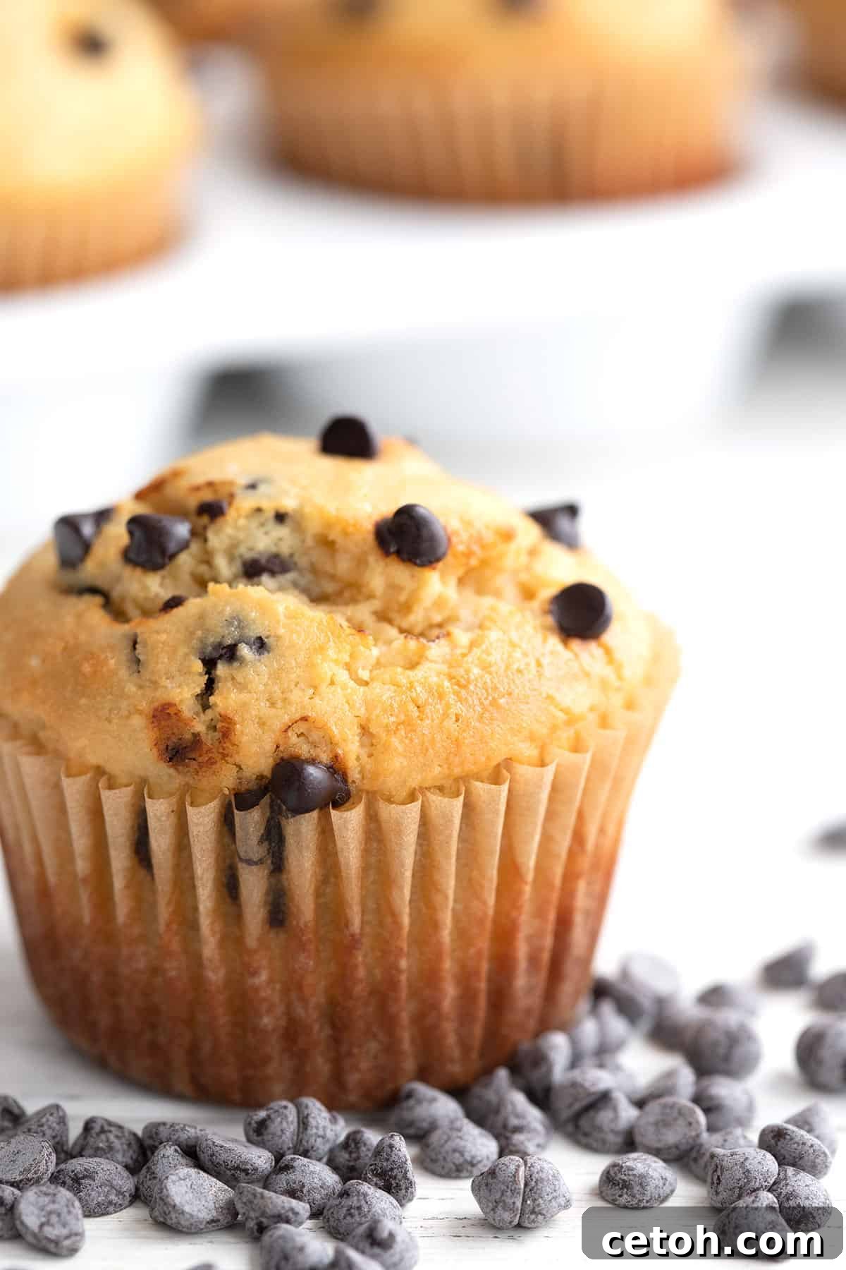 Close up shot of a bakery style keto muffin with chocolate chips all around it.
