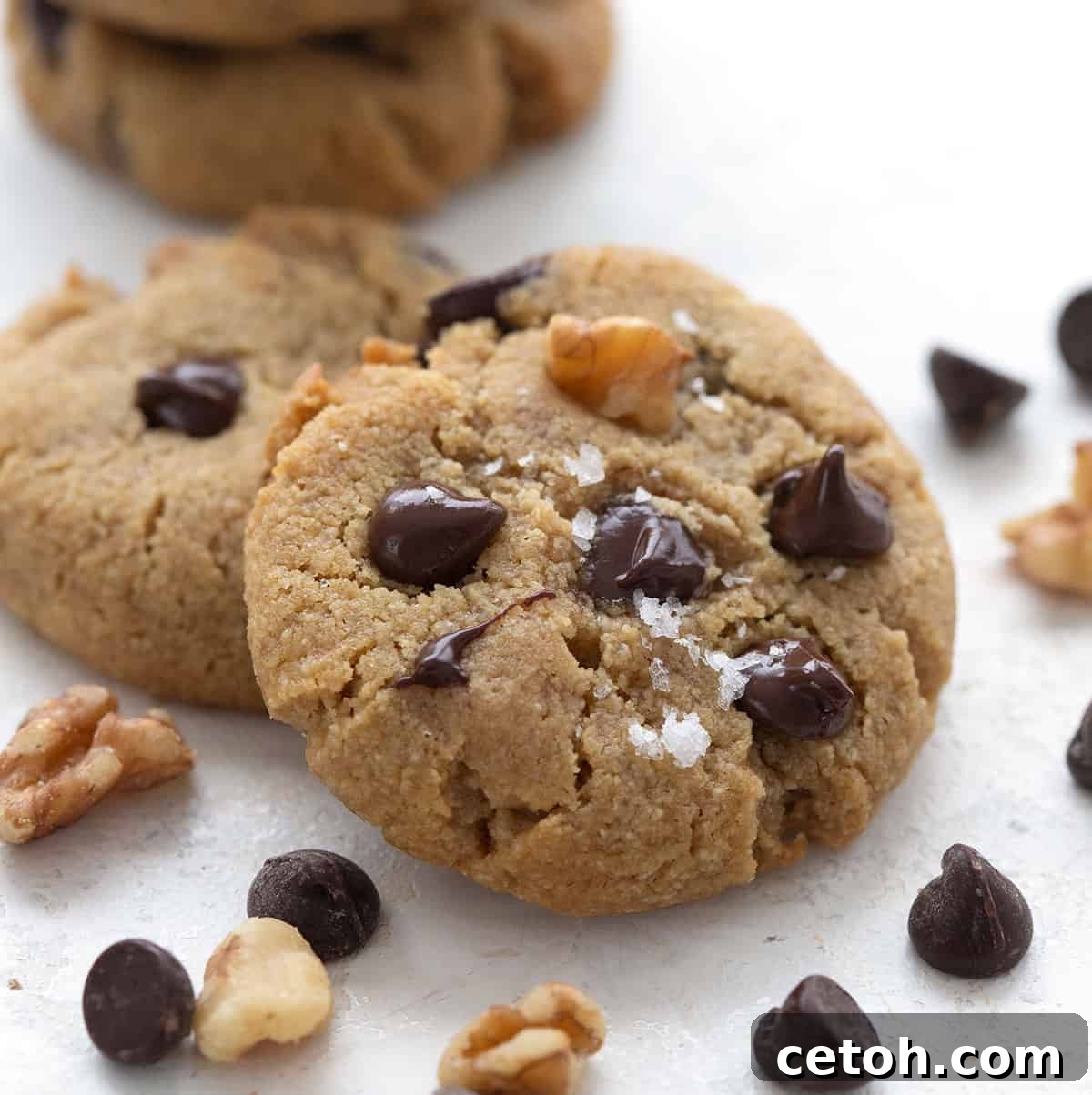 Close up shot of two keto chocolate chip cookies with chocolate chips and chopped nuts strewn around.