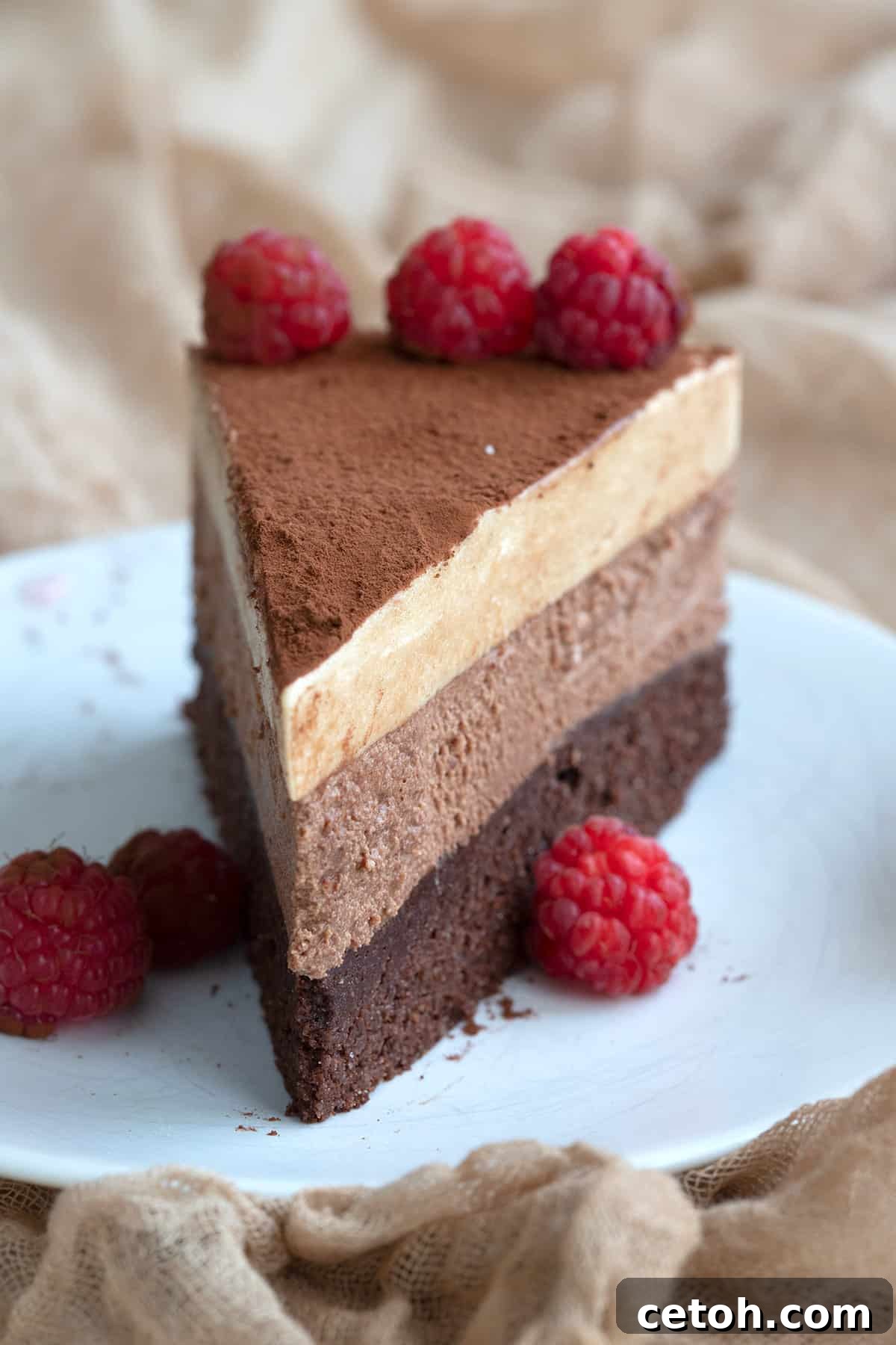 Close up shot of a slice of keto chocolate espresso mousse cake with fresh raspberries.