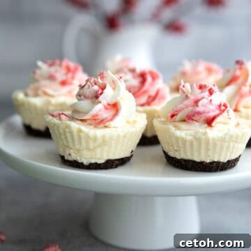 Keto White Chocolate Peppermint Cheesecakes on a white Cake stand with a vase of red winter berries in the background.