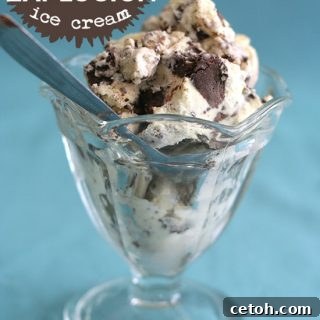 Low Carb Brownie Explosion Ice Cream