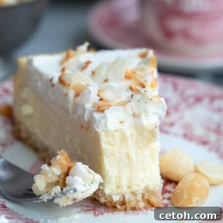 A slice of Keto Coconut Cheesecake on a red patterned plate with a forkful off to the side.