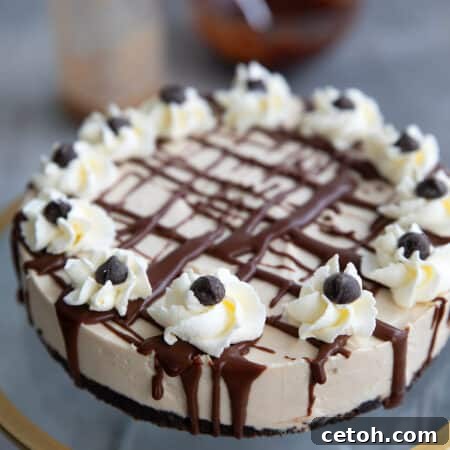 Keto Irish Cream Cheesecake on a glass cake stand.