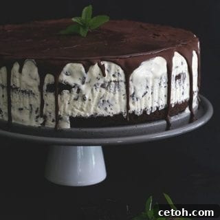 Mint Chocolate Chip Ice Cream Cake Thumbnail