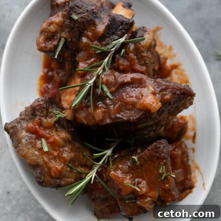 Top down image of wine braised short ribs piled up in a white oval serving dish.
