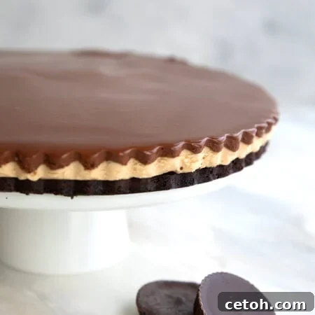 Keto Peanut Butter Fudgy Brownie Tart 2 Keto Peanut Butter Brownie Tart on a white cake stand with two peanut butter cups below it.