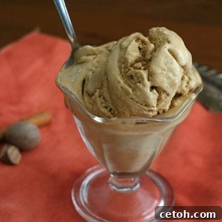 Keto Pumpkin Spice Ice Cream