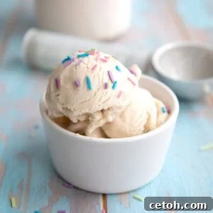 Two scoops of vanilla protein ice cream in a white bowl, ready to be enjoyed as a healthy, low-carb dessert.