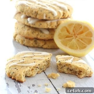 Lemon Poppyseed Breakfast Cookies recipe image