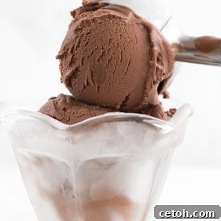 An ice cream scoop putting rich death by chocolate ice cream into a glass ice cream dish