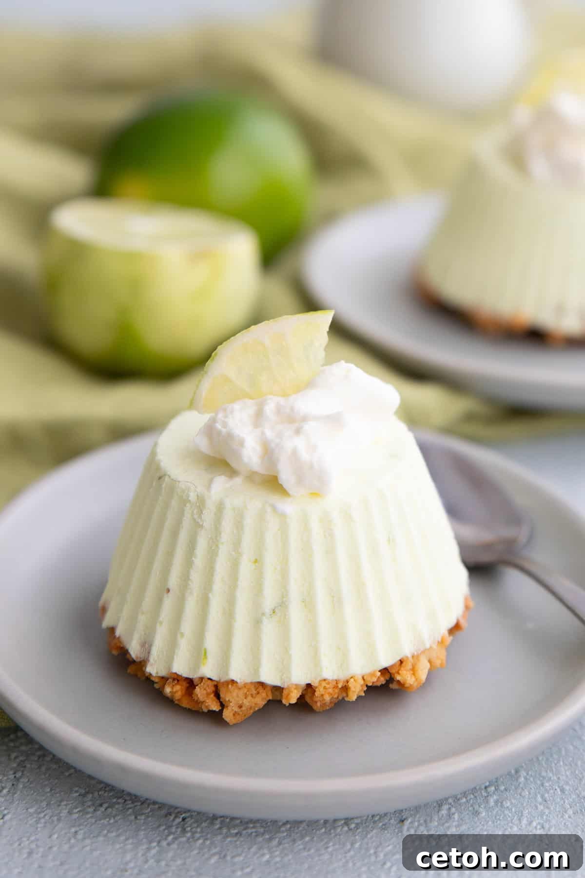 A Keto Frozen Key Lime Pie on a small gray plate with whipped cream and a lime slice on top.