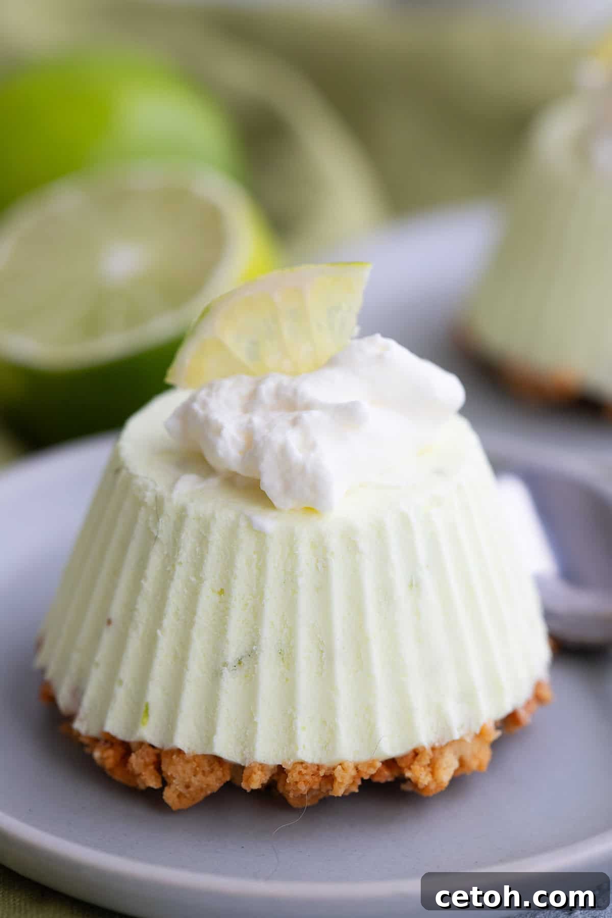 Close up shot of a Keto Frozen Key Lime Pie on a small gray plate with whipped cream and a lime slice on top