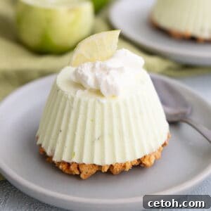 A Keto Frozen Key Lime Pie on a small gray plate with whipped cream and a lime slice on top.